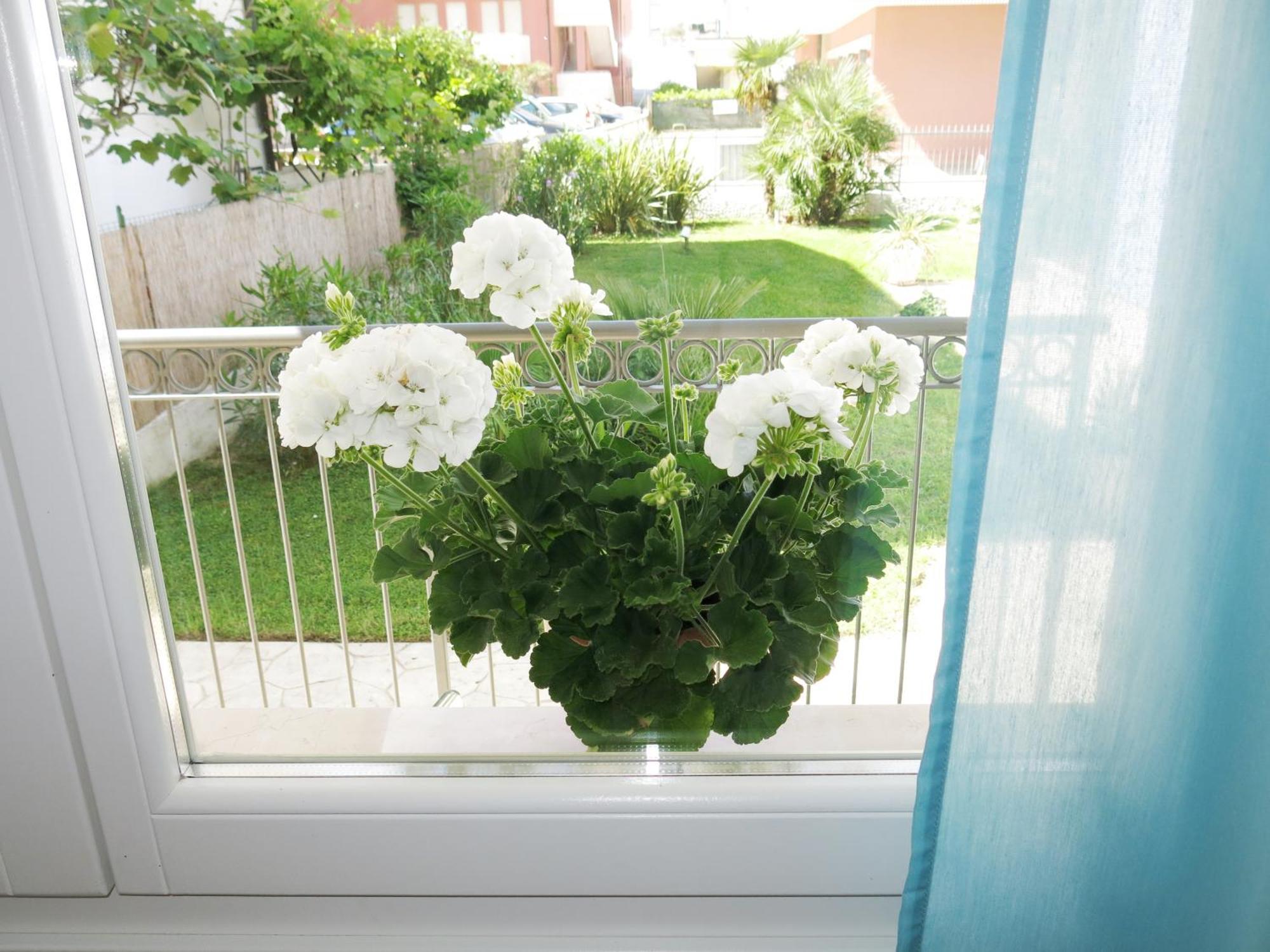 Residence Amarein Caorle Exterior foto