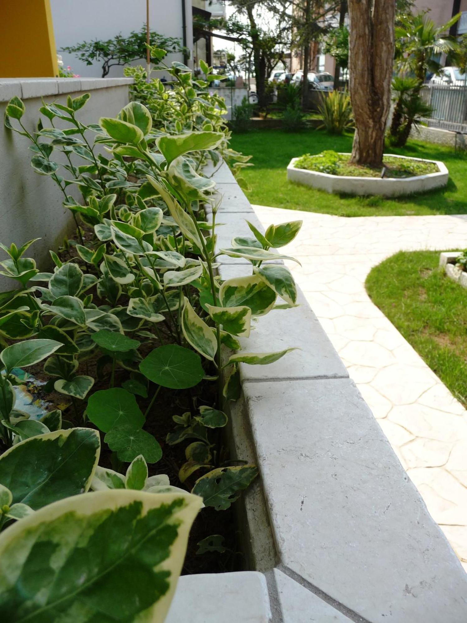 Residence Amarein Caorle Exterior foto