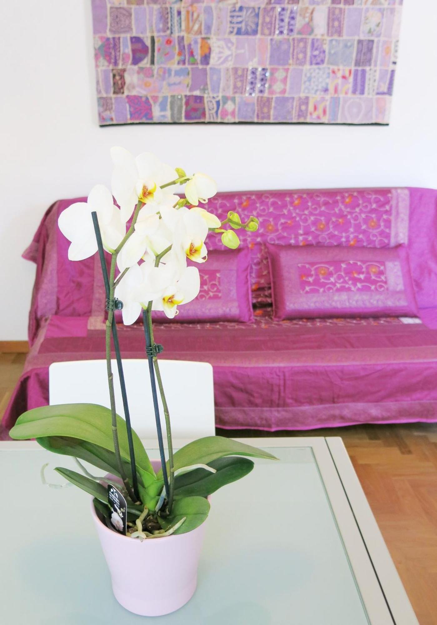 Residence Amarein Caorle Exterior foto